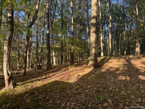 Vl Rock Valley Road, Dryden, MI 48455