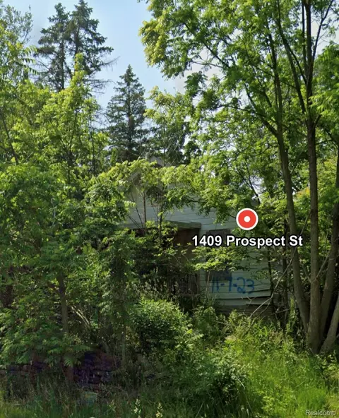 1409 Prospect St, Flint, MI 48503