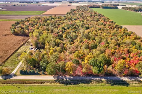 4000 S Reese Rd, Frankenmuth, MI 48734