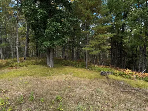 Other - 9246 Outing Pl, Grayling, MI 49738 photo 15 of 15