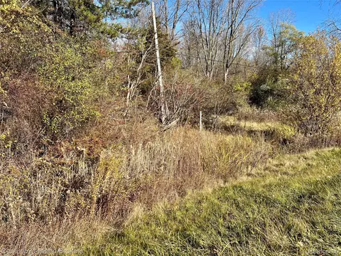 0 N Corunna Rd, Clayton, MI 48473
