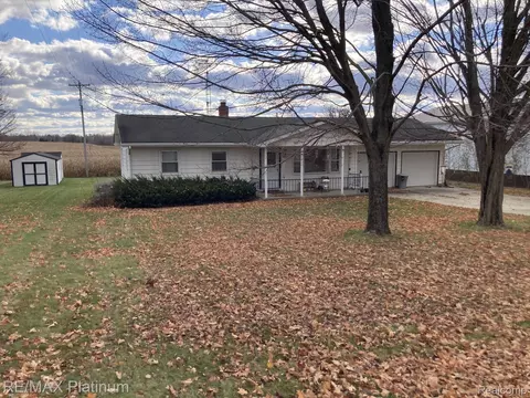 11060 Britton Rd, Burns, MI 48418