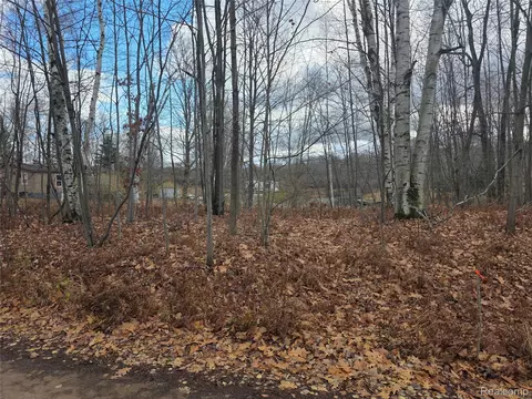 Vl Birch Road, Hartwick, MI 49631