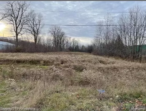 0 Van Dyke Rd, Almont, MI 48003