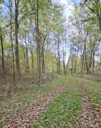 37 Risch Rd, Webberville, MI 48892