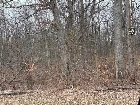 0 Lapeer, Clyde, MI 48049