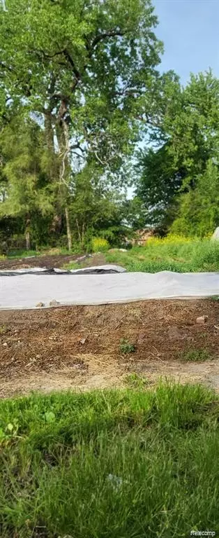 2969 Rosa Parks Blvd, Detroit, MI 48216