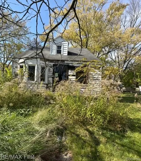 17363 Heyden St, Detroit, MI 48219