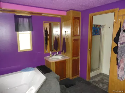 Bath - 231 Briarwood, Monroe, MI 48161 photo 2 of 3