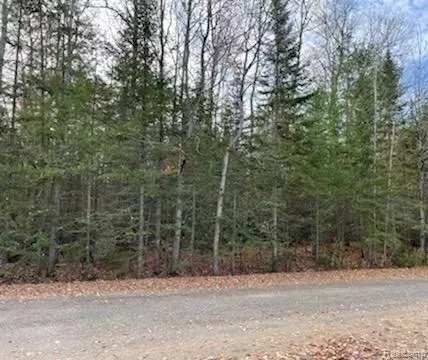 9763 High Banks, Benton, MI 49721