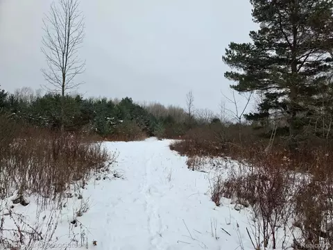 0000 Hadley Rd, Lamotte, MI 48426