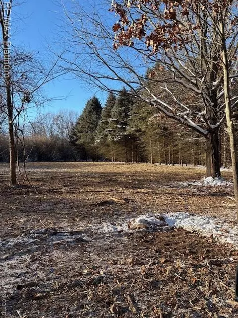 Wasson Road, Unadilla, MI 48137