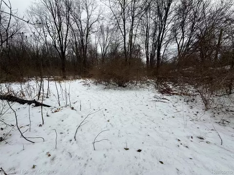 Vacant Ecorse Road, Romulus, MI 48174
