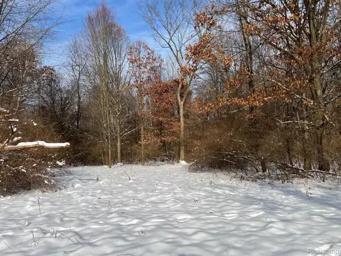 10 10 Acres Laur, Deerfield, MI 48461