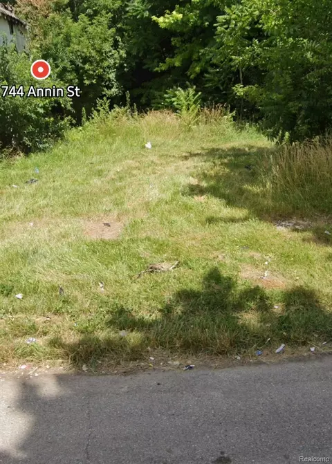 744 Annin St, Highland Park, MI 48203