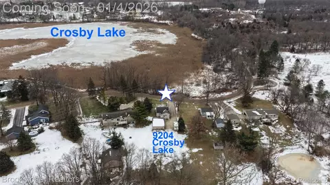 9204 Crosby Lake Rd, Springfield, MI 48346