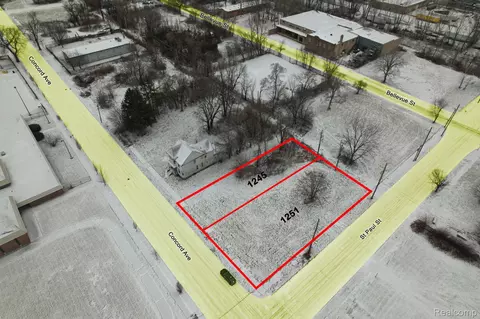 1251 Concord St, Detroit, MI 48207