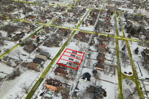 296 Belmont St, Detroit, MI 48202