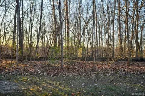 Vl Pineview Lake Drive, Argentine, MI 48451