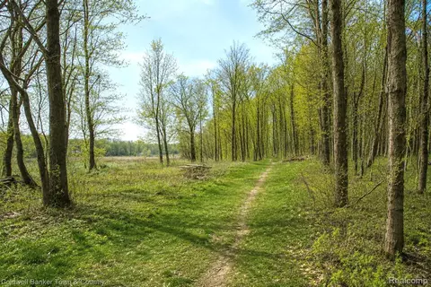 Vl Spears, Unadilla, MI 48137