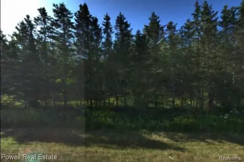 E M48, Chippewa, MI 49774