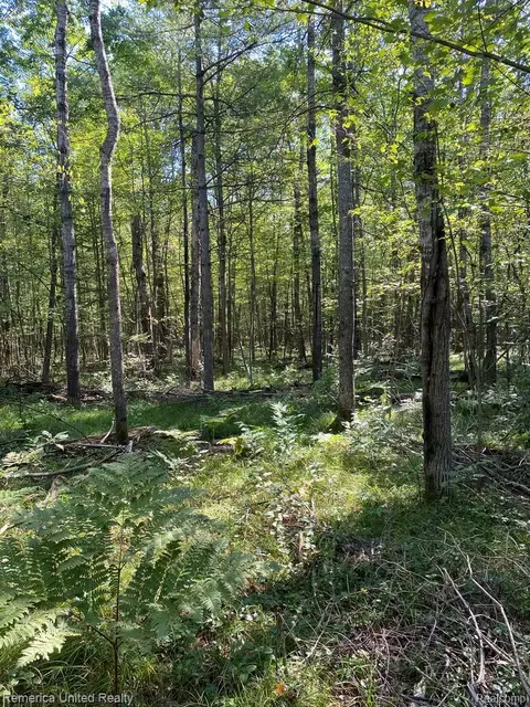 0 Timber Ln, Mills, MI 48610