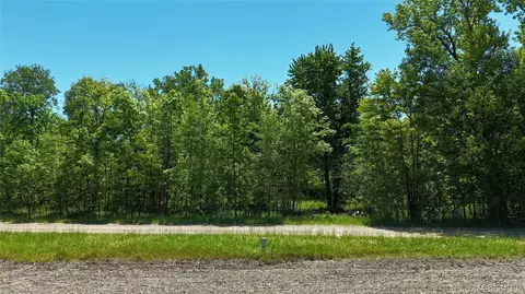 0 Williams Rd, Argentine, MI 48436