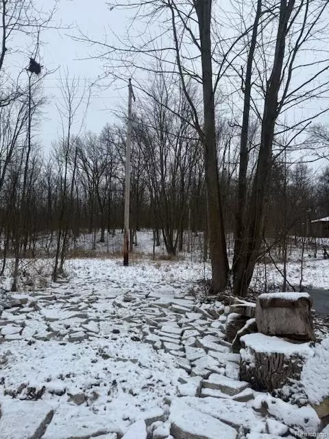 0 Williams Rd, Argentine, MI 48436