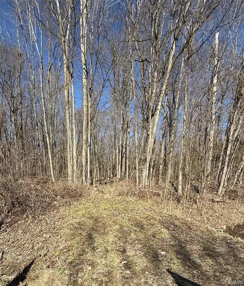 0 Lindsey Rd, China, MI 48054