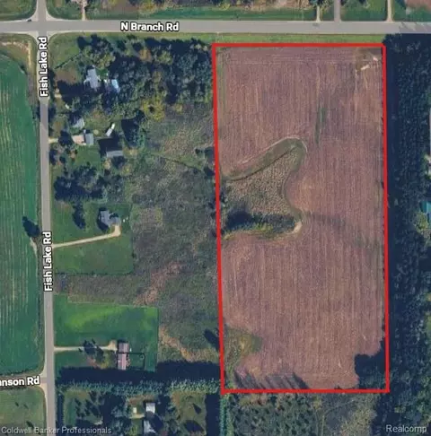 Vl N Branch Road, Deerfield, MI 48461
