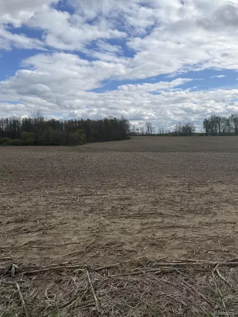 00 Thom Rd, Oregon, MI 48721