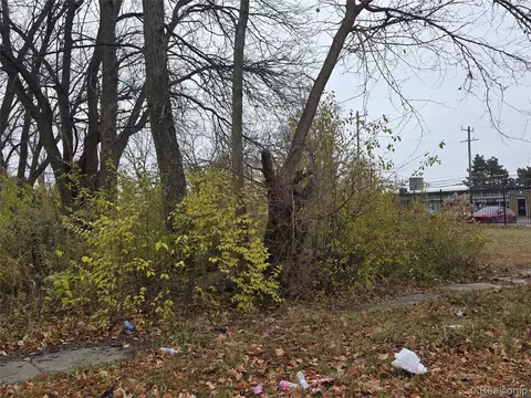 17163 Hawthorne St, Detroit, MI 48203
