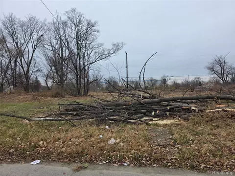 528 Adeline St, Detroit, MI 48203