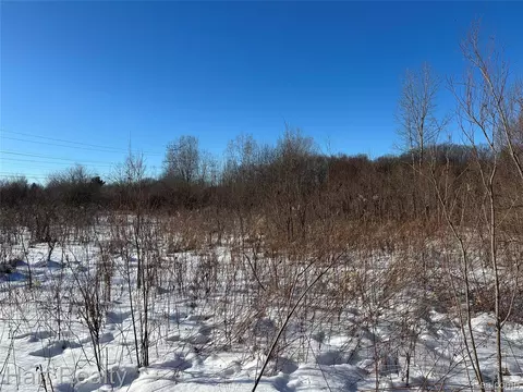 13 Single Tree Cir, Dryden, MI 48428