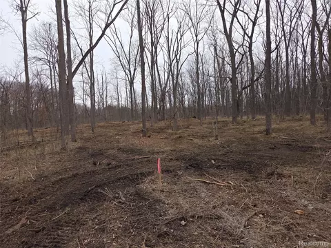 Parcel D Parcel D Cullen Rd, Hartland, MI 48353