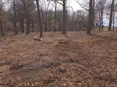 tbd Cohoctah Rd, Deerfield, MI 48430