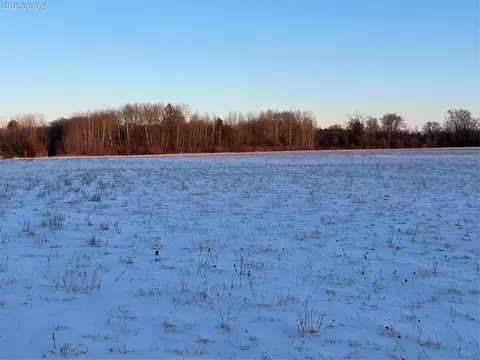 3000 S Genuine Rd, Chippewa, MI 48858