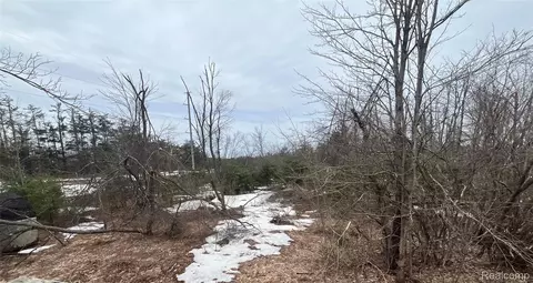 lot41 Altorf Strasse, Livingston, MI 49735