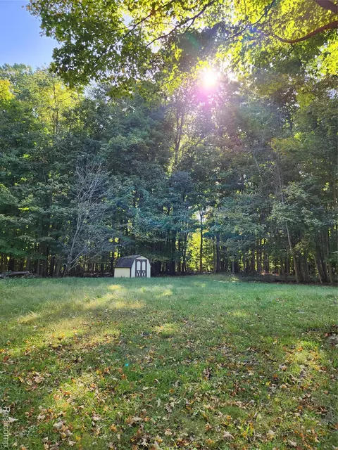 15973 Walnut St, Buchanan, MI 49107