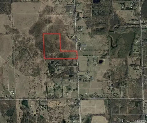 Vl Hinchey Road, Putnam, MI 48169