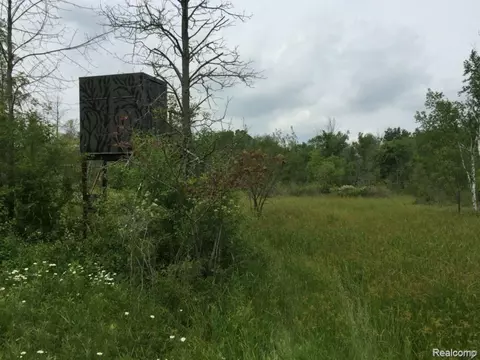 Other - 6350 Wolf Rd, Burnside, MI 48416 photo 14 of 25