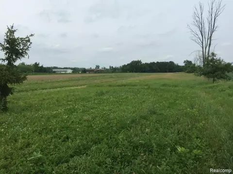 Other - 6350 Wolf Rd, Burnside, MI 48416 photo 16 of 25