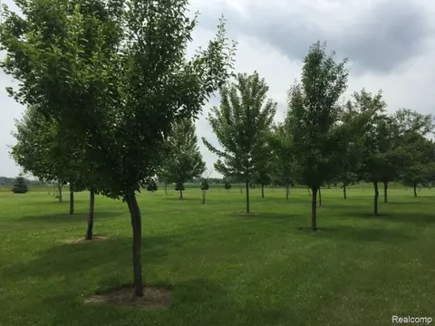 Other - 6350 Wolf Rd, Burnside, MI 48416 photo 13 of 25