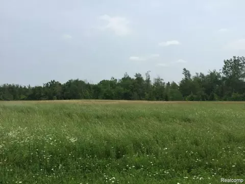 Other - 6350 Wolf Rd, Burnside, MI 48416 photo 12 of 25