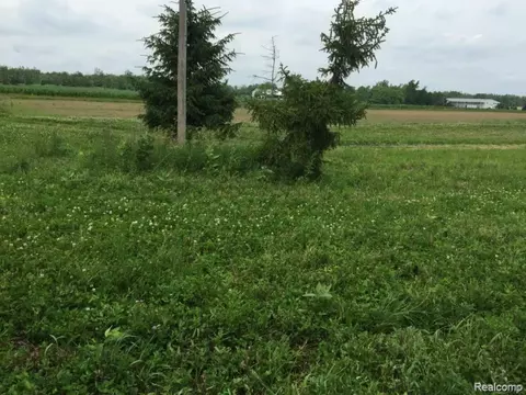 Other - 6350 Wolf Rd, Burnside, MI 48416 photo 15 of 25