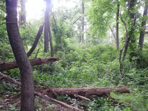 0000 Johnson Dr, Lake Orion, MI 48362