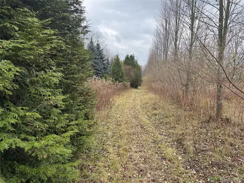 00 Remer Rd, China, MI 48054