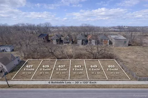 637 Euclid St, Detroit, MI 48202