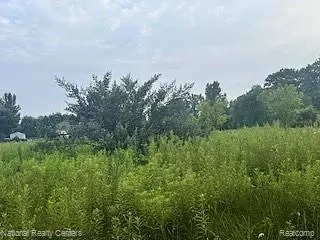 00 Stow Rd, Conway, MI 48892