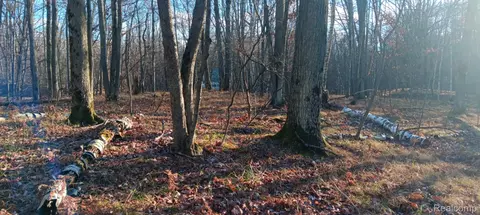 1782 Hemlock Ln, Lincoln, MI 48622